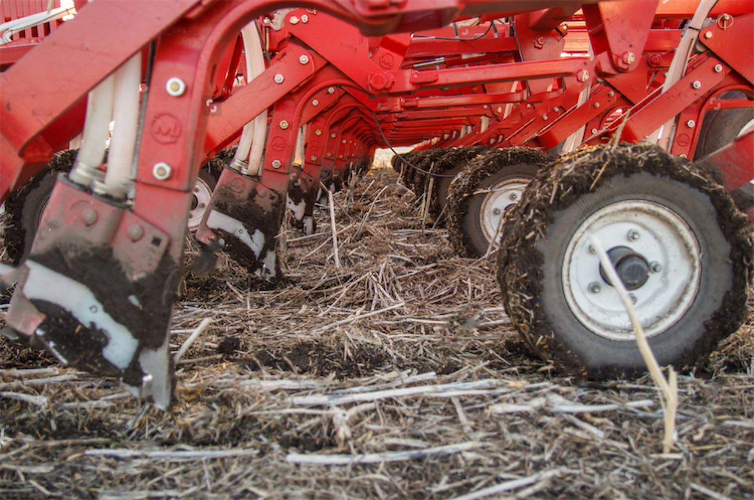 Uprawa Bezorkowa, Siew w Mulcz czy Strip Till – Jak Wybrać Najlepszą Metodę Uprawy? 6 Rolmako Mulcz Uprawa Bezorkowa, Siew w Mulcz czy Strip Till – Jak Wybrać Najlepszą Metodę Uprawy?