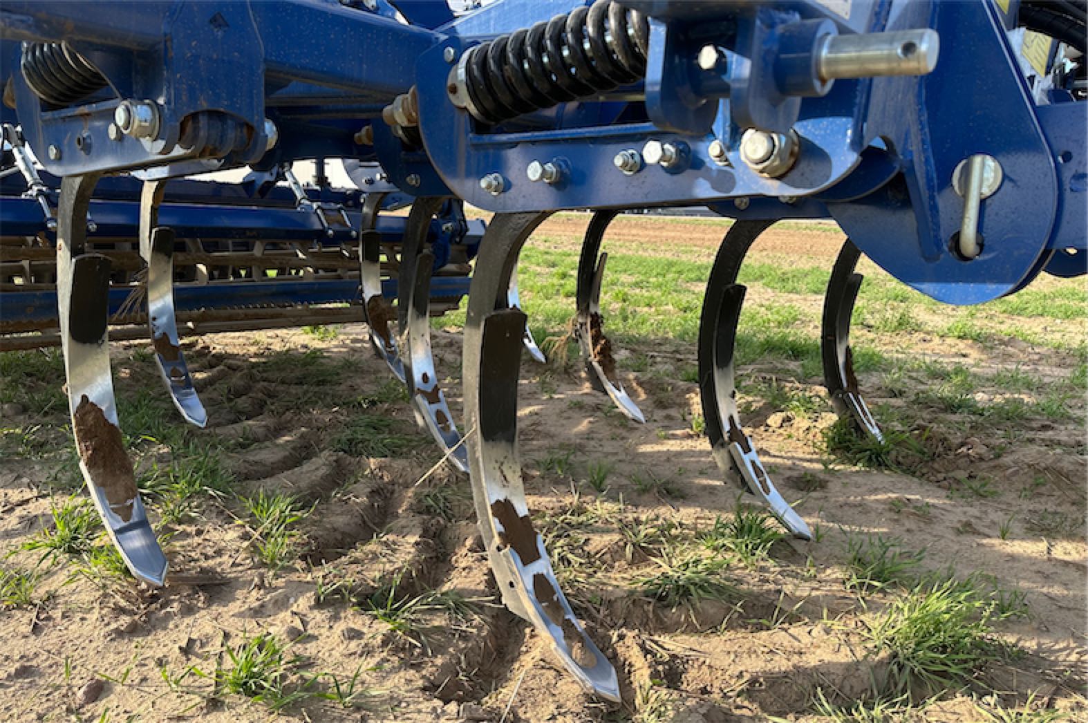 Uprawa Bezorkowa, Siew w Mulcz czy Strip Till – Jak Wybrać Najlepszą Metodę Uprawy? 9 Rolmako Bezorkowiec Uprawa Bezorkowa, Siew w Mulcz czy Strip Till – Jak Wybrać Najlepszą Metodę Uprawy?