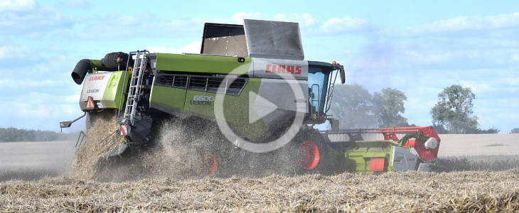 Żniwa 2026 z kombajnem Claas Lexion 6600 na Kujawach Claas_Lexion_6000_zniwa_film_2026